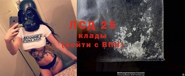 шишки Заводоуковск