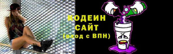 шишки Заводоуковск