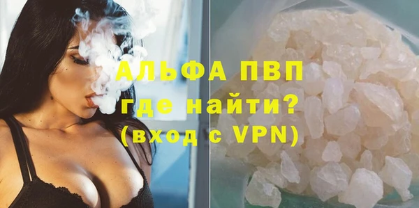 шишки Заводоуковск