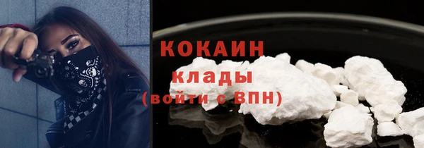 шишки Заводоуковск