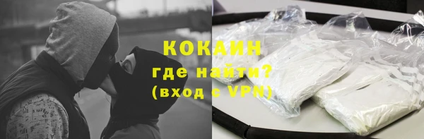 шишки Заводоуковск