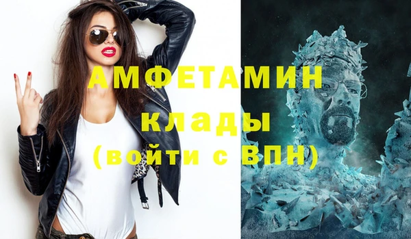 шишки Заводоуковск