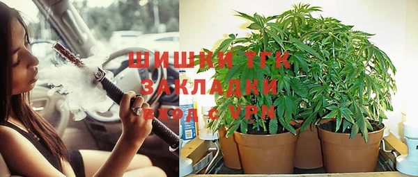 шишки Заводоуковск