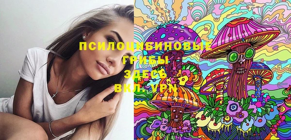 шишки Заводоуковск