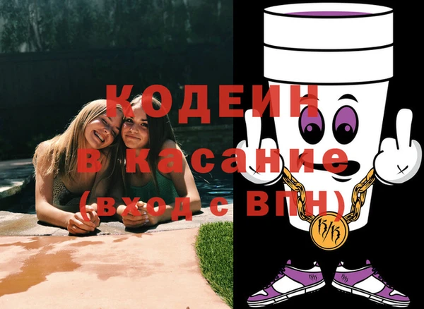 шишки Заводоуковск