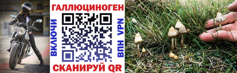 Купить  Жуков  Псилоцибиновые грибы MAGIC MUSHROOMS 